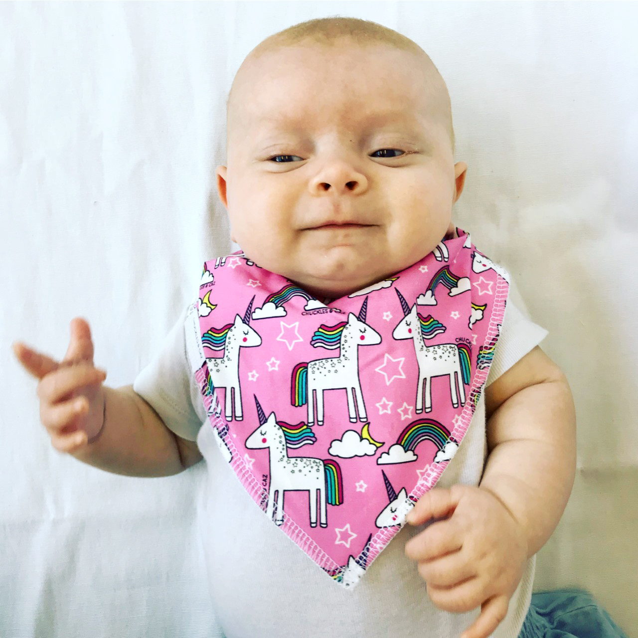 Unicorn Dribble Bib