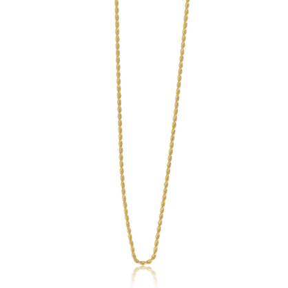 Steel Me Fine Gold Rope Chain