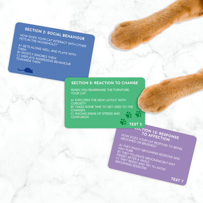 Gift Republic - Cat: Pet Personality Test