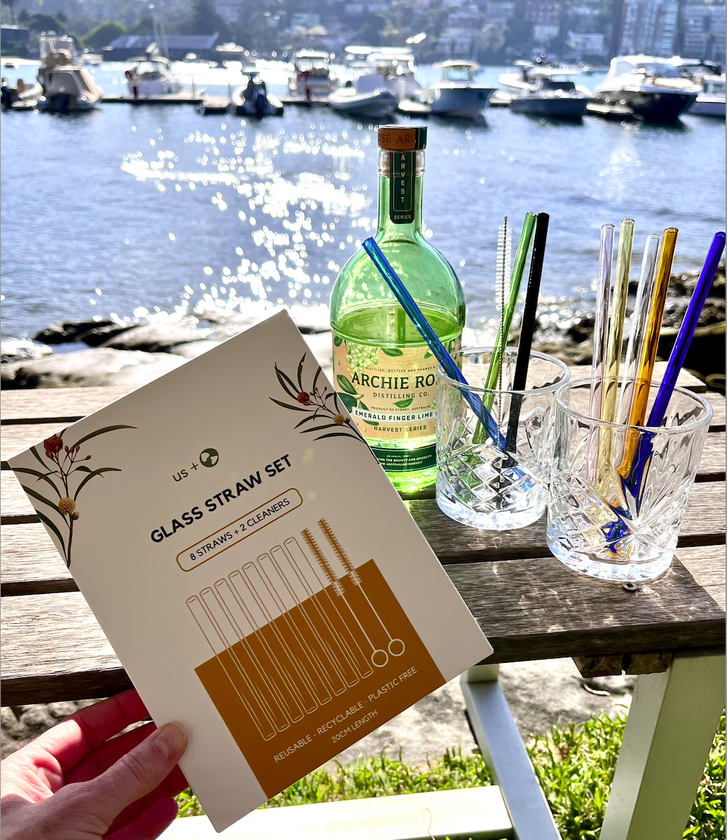 Reusable Glass Drinking Straws – 8 Pack