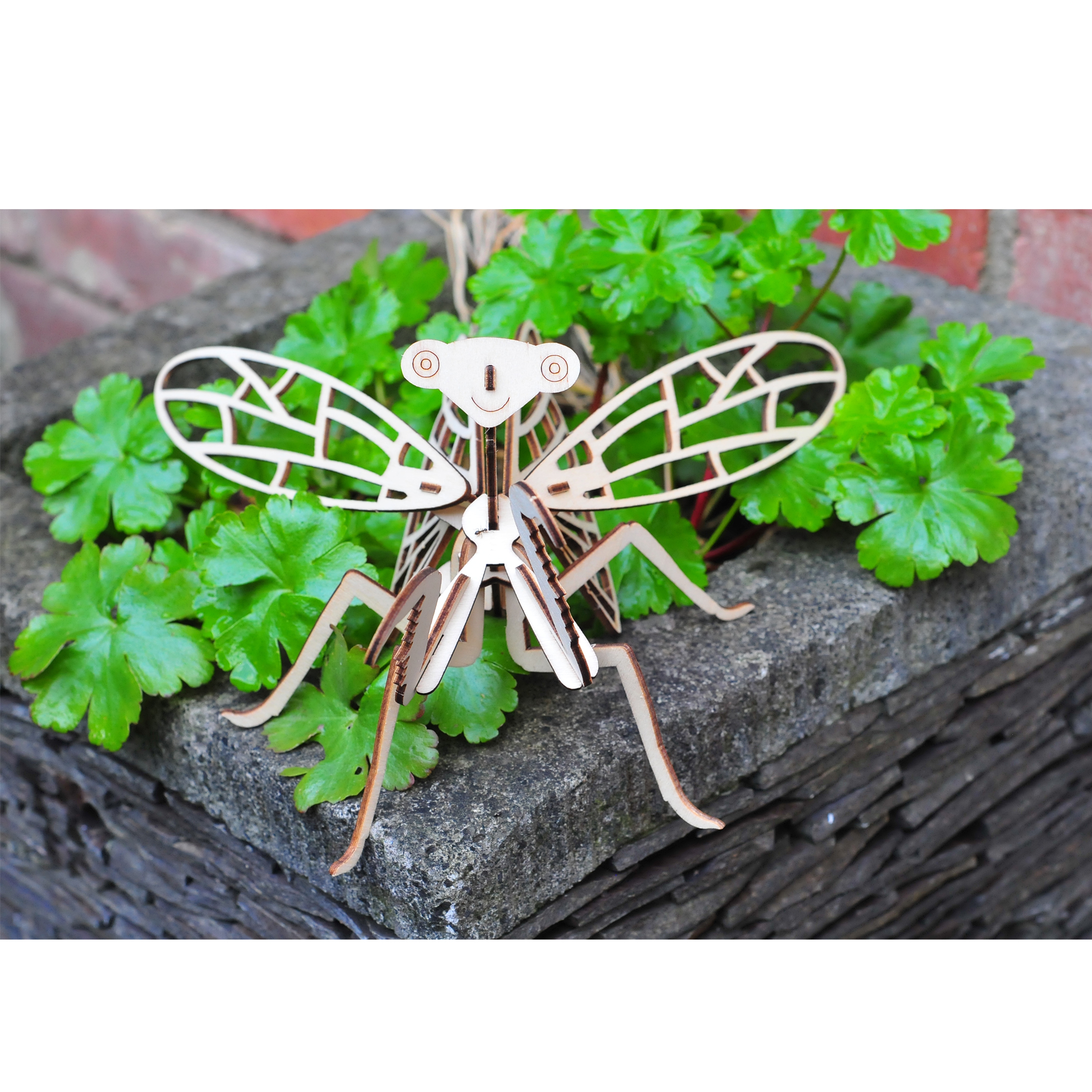 Wooden Insect Construction Kit