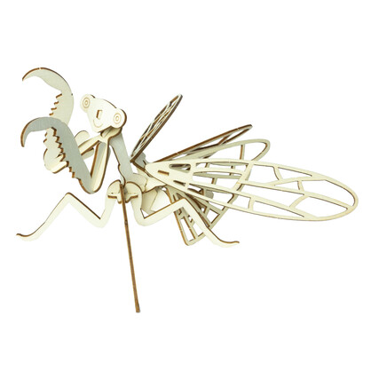 Wooden Insect Construction Kit