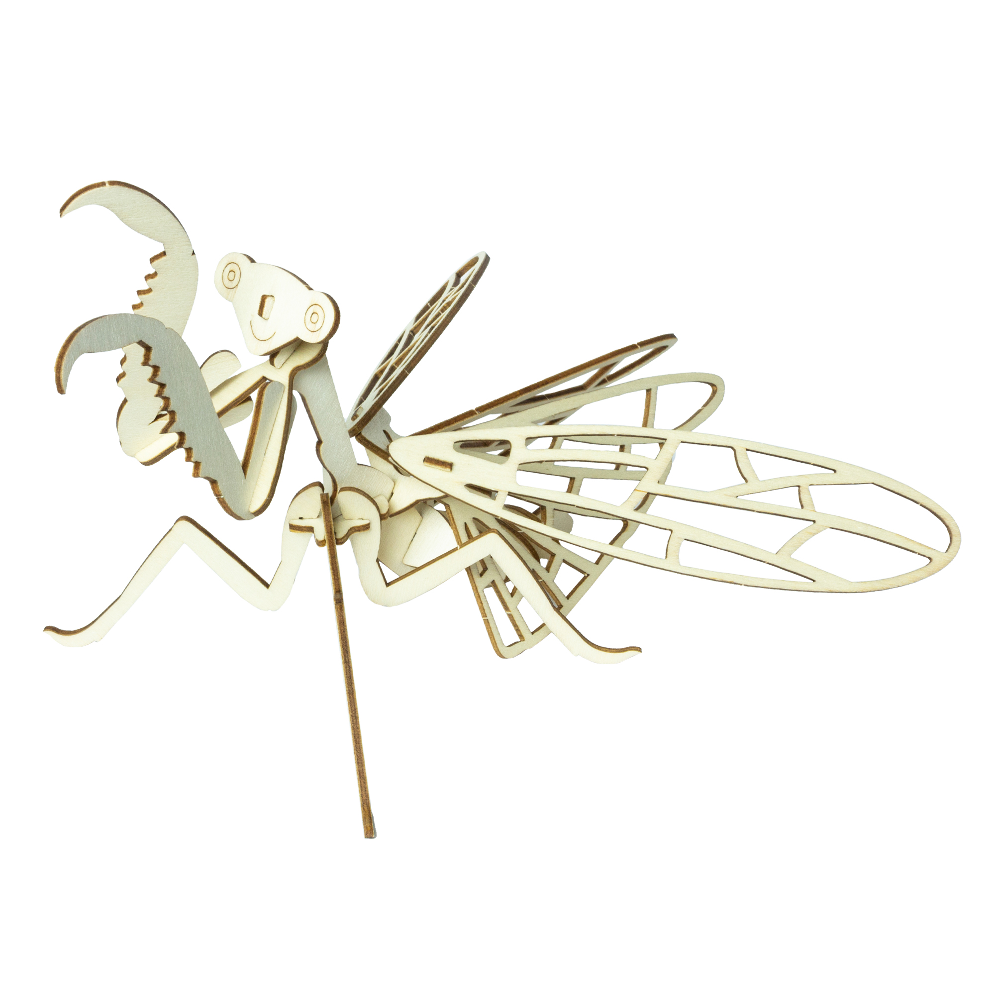 Wooden Insect Construction Kit