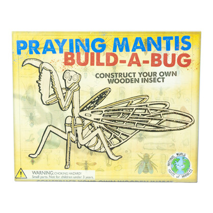 Wooden Insect Construction Kit