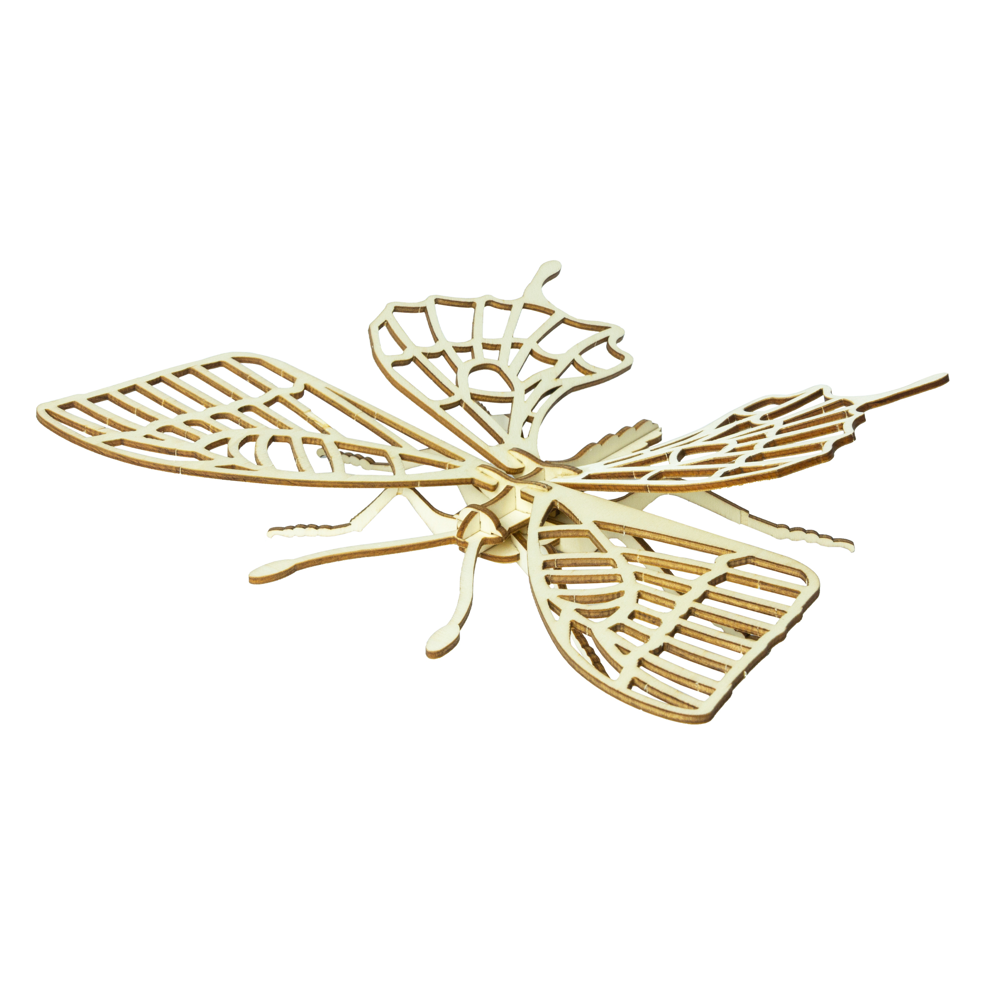 Wooden Insect Construction Kit