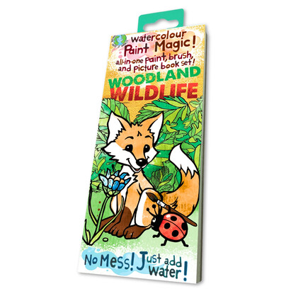 Paint Magic - Woodland Wildlife