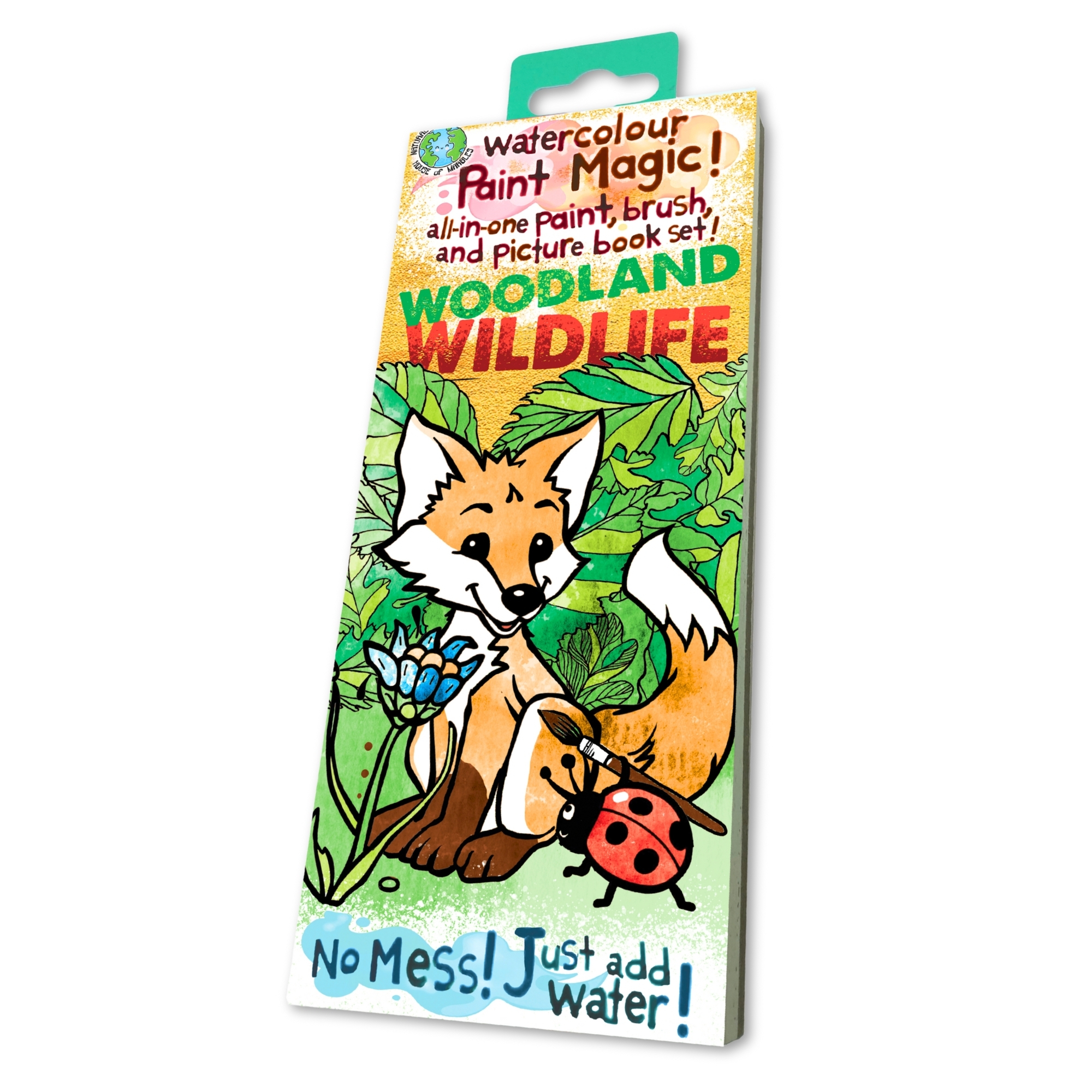 Paint Magic - Woodland Wildlife