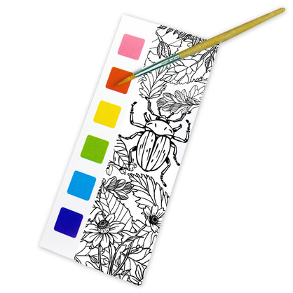 Paint Magic - Woodland Wildlife