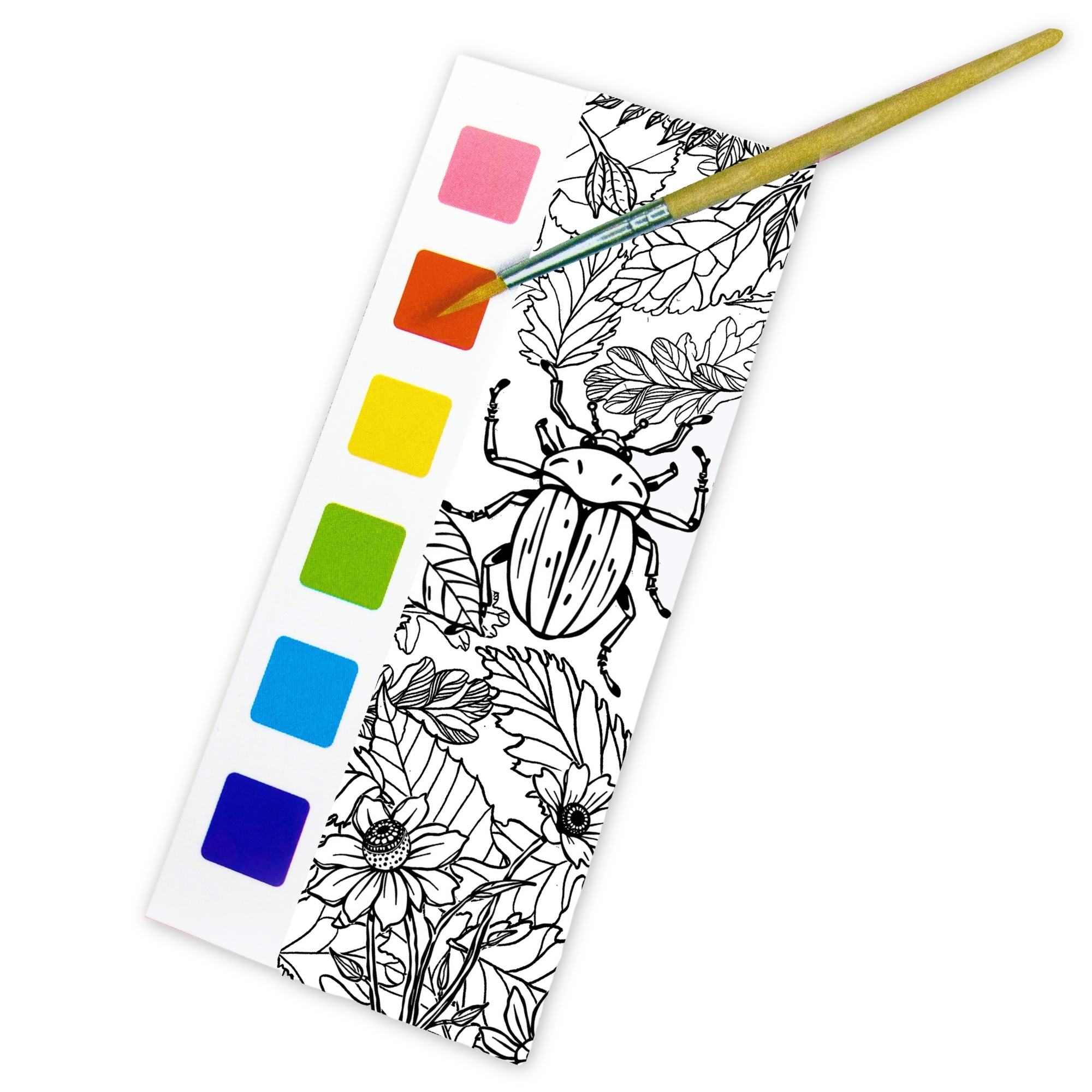 Paint Magic - Woodland Wildlife