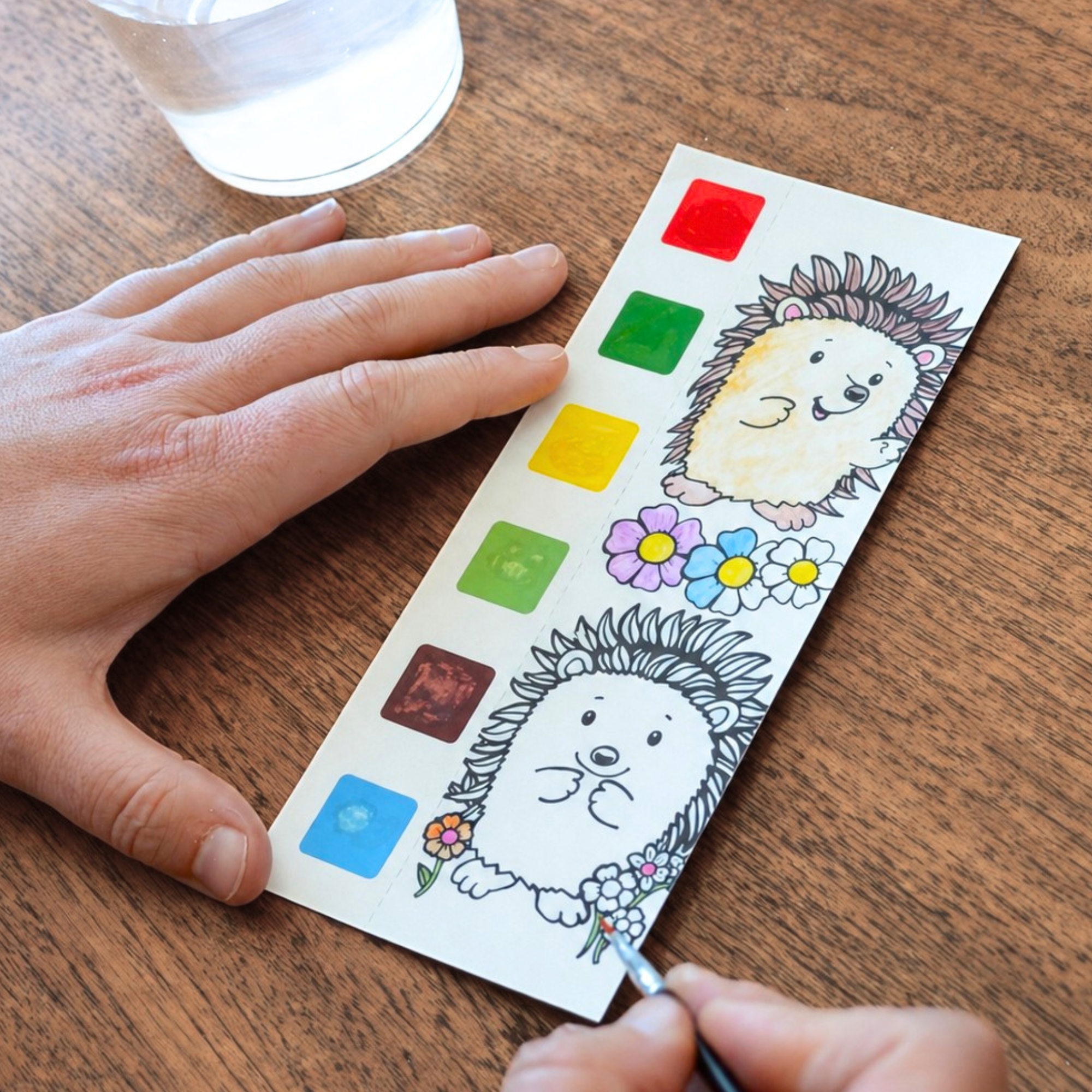 Paint Magic - Woodland Wildlife