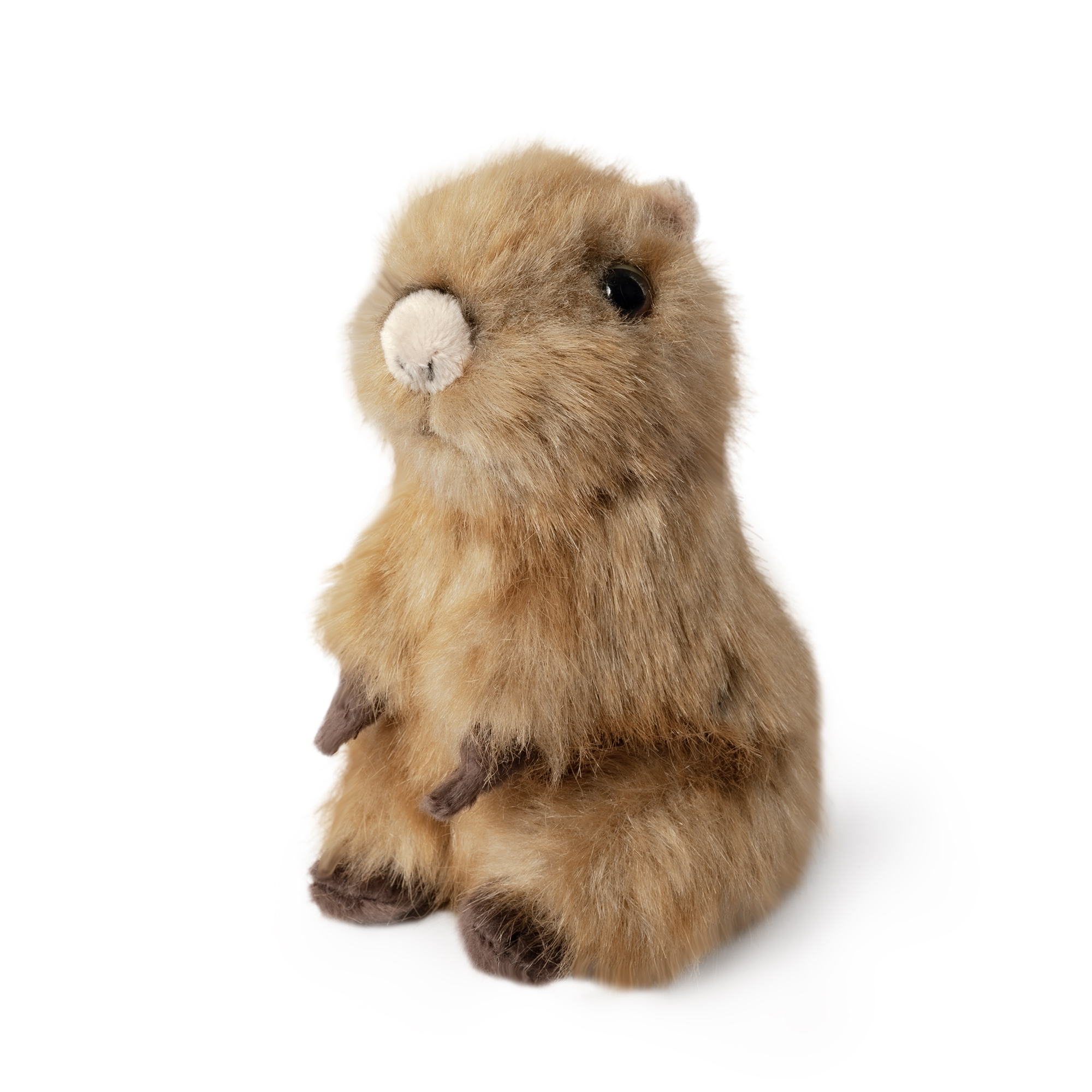 Living Nature - Sitting Capybara Pup (16cm)