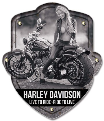 Harley 2 Light up Shield