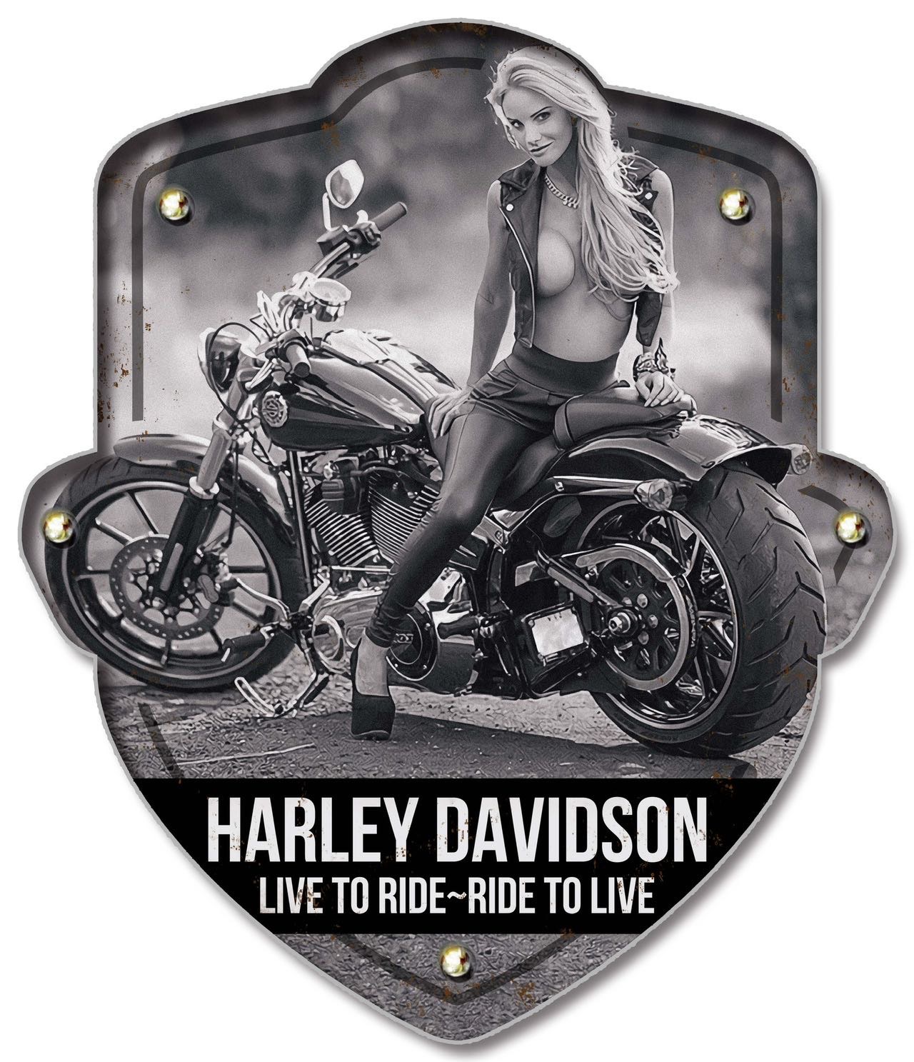 Harley 2 Light up Shield