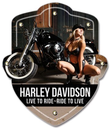 Harley 1 Light up Shield
