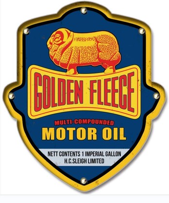 Golden Fleece Light up Shield