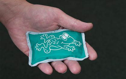 Inflatable Beanbag Frog Pond Toss Game