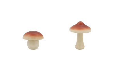 Wooden Mushroom