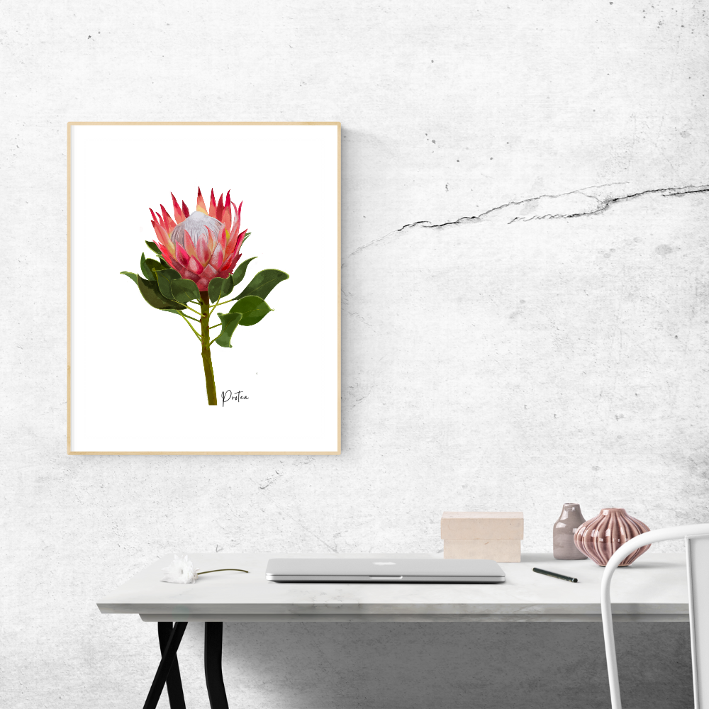 AGCP1004: Protea Flower Poster