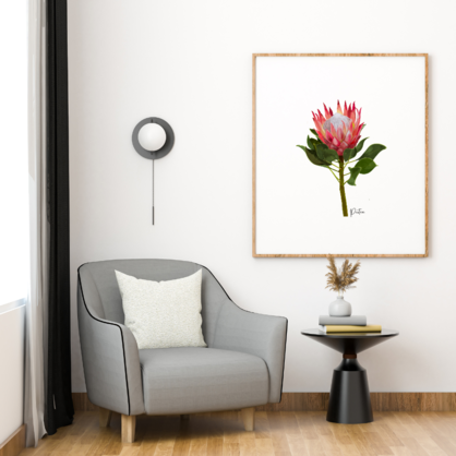 AGCP1004: Protea Flower Poster
