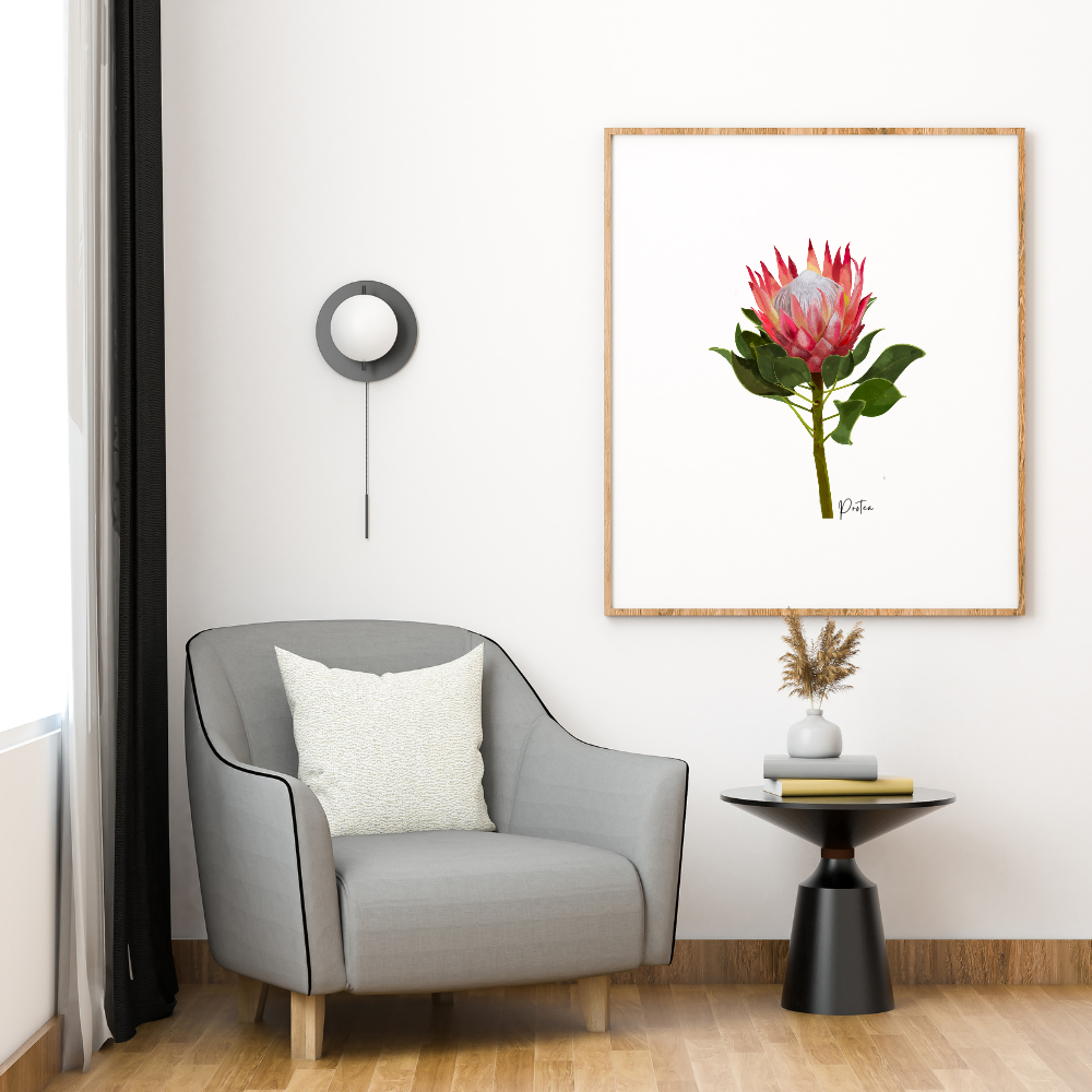 AGCP1004: Protea Flower Poster