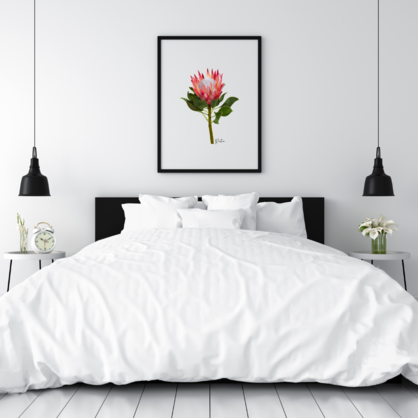 AGCP1004: Protea Flower Poster