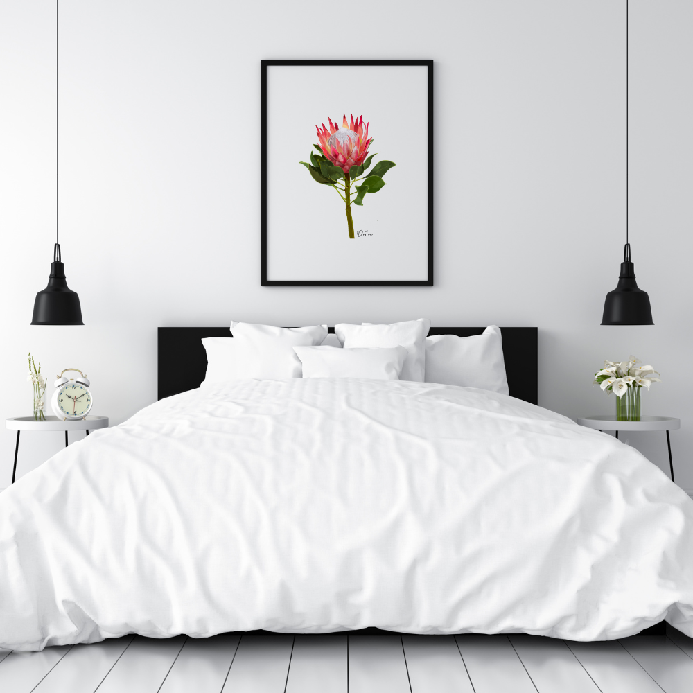 AGCP1004: Protea Flower Poster
