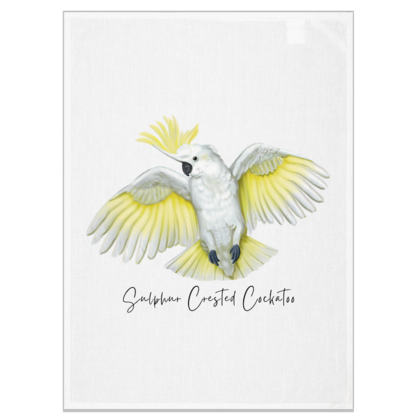 AGCAP1004: (38 pcs) Starter Pack Cotton Tea Towels