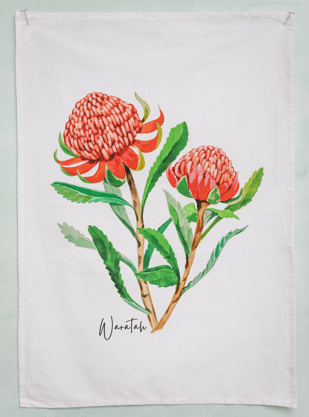 AGCAP1004: (38 pcs) Starter Pack Cotton Tea Towels