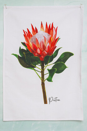 AGCAP1004: (38 pcs) Starter Pack Cotton Tea Towels