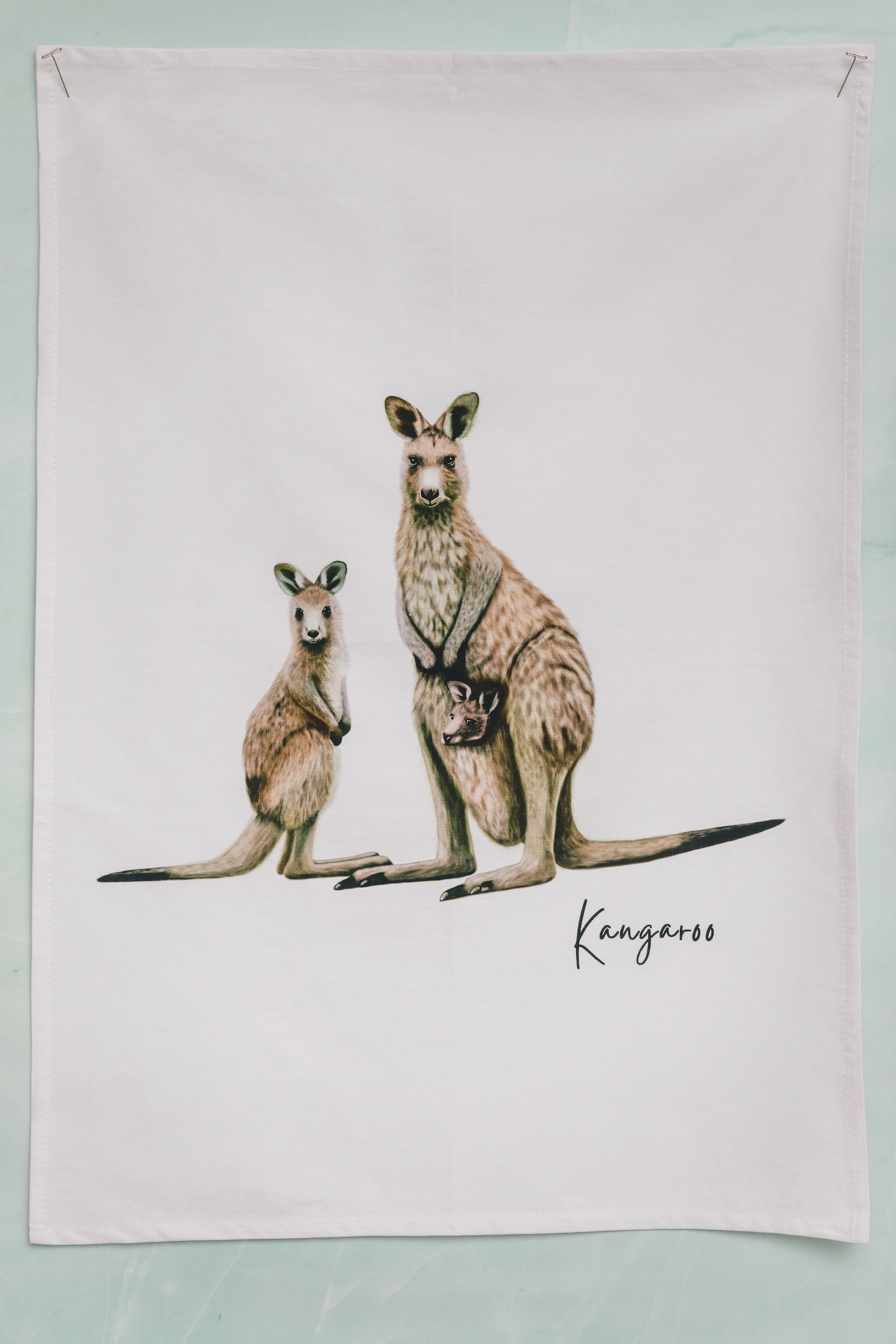 AGCAP1004: (38 pcs) Starter Pack Cotton Tea Towels