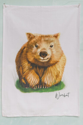 AGCAP1004: (38 pcs) Starter Pack Cotton Tea Towels