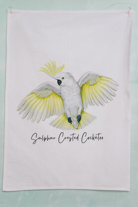 AGCAP1004: (38 pcs) Starter Pack Cotton Tea Towels