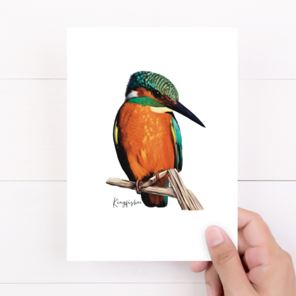 AGCC1016: Kingfisher Card
