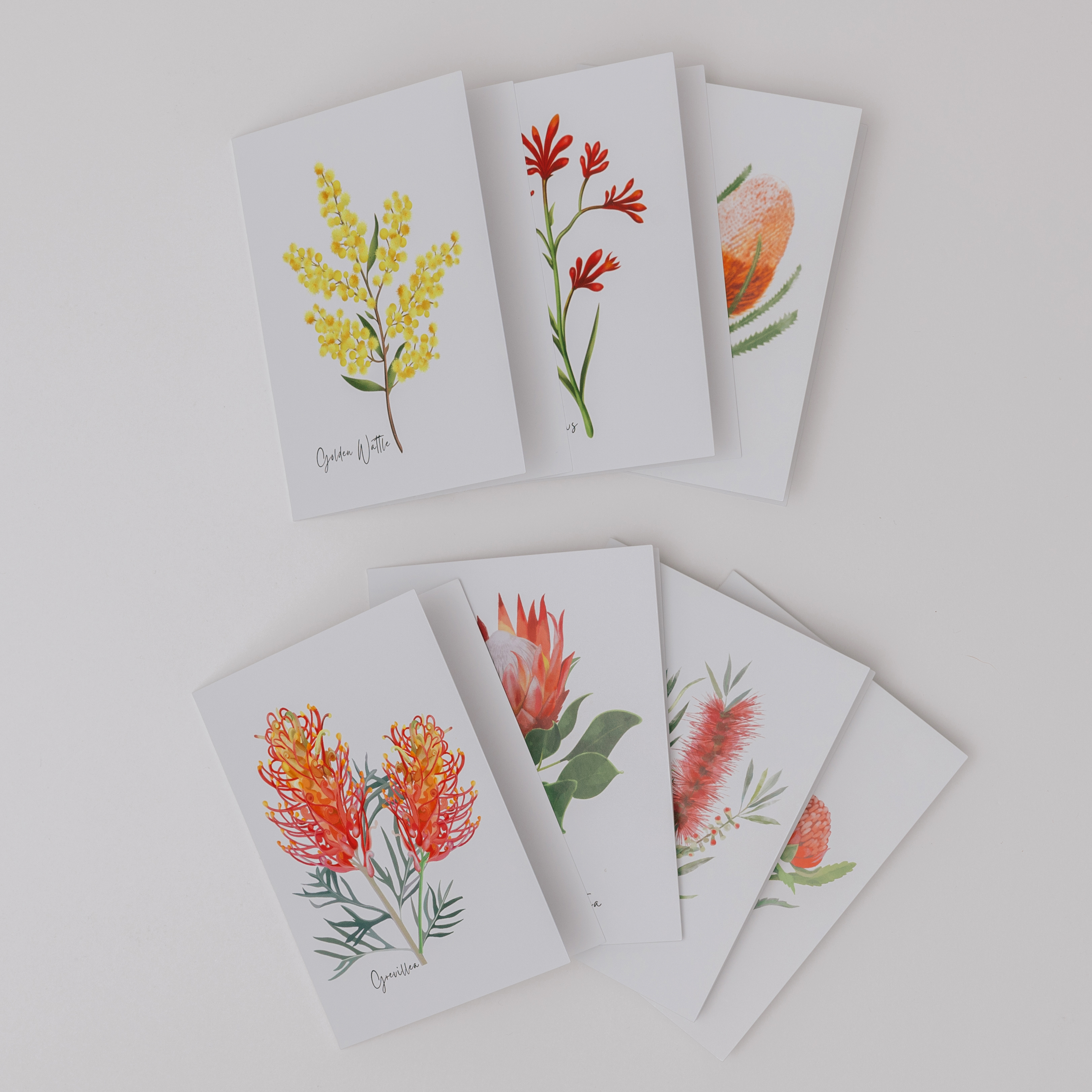 AGCC1001: Red: Bottlebrush Flower Card