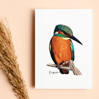AGCC1016: Kingfisher Card