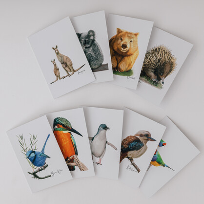 AGCC1016: Kingfisher Card