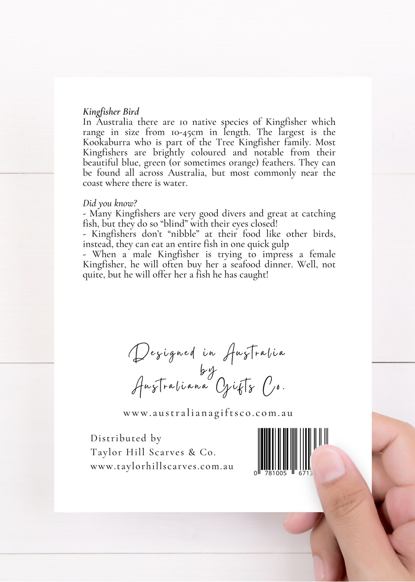 AGCC1016: Kingfisher Card