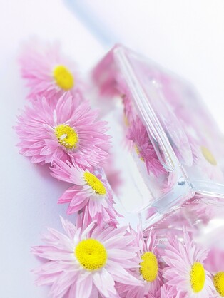 Herbal infused Pink Daisy with watermelon essence 100ml