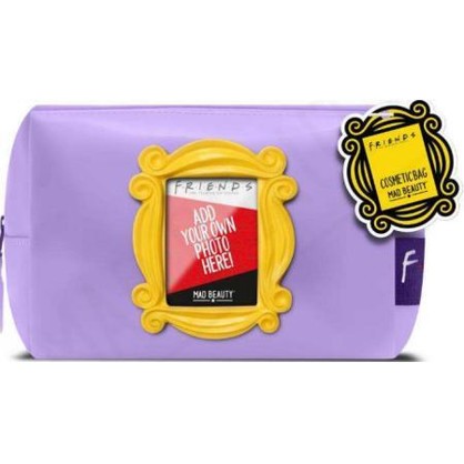 WARNER BROS FRIENDS FRAME BAG