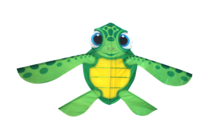 Sea Turtle