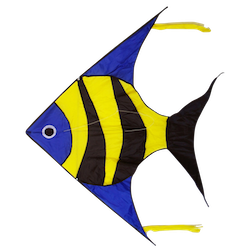 Reef Fish