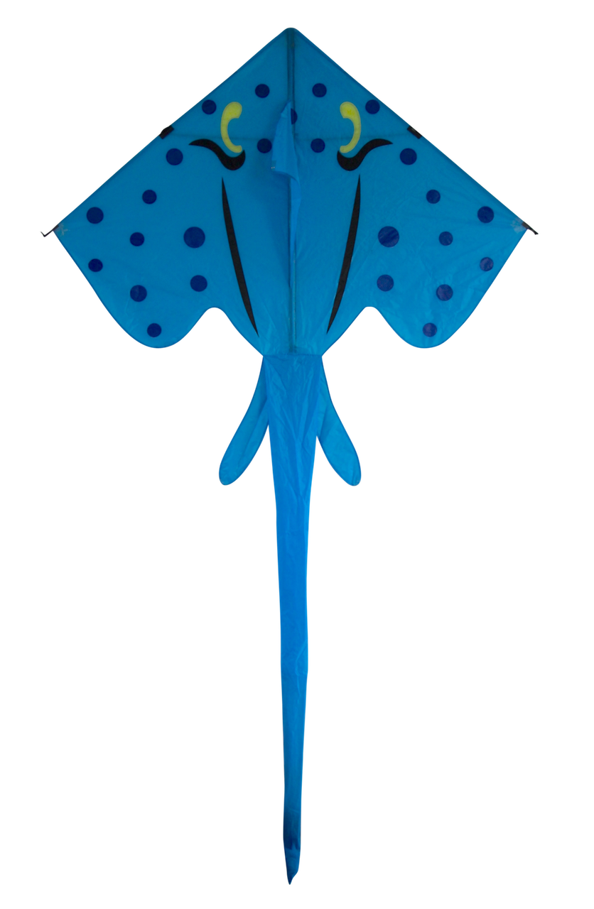 Stingray - Blue