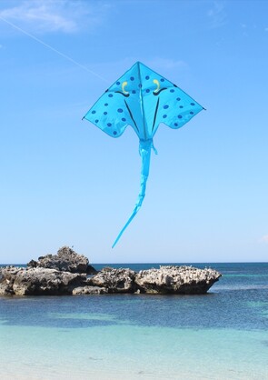 Stingray - Blue