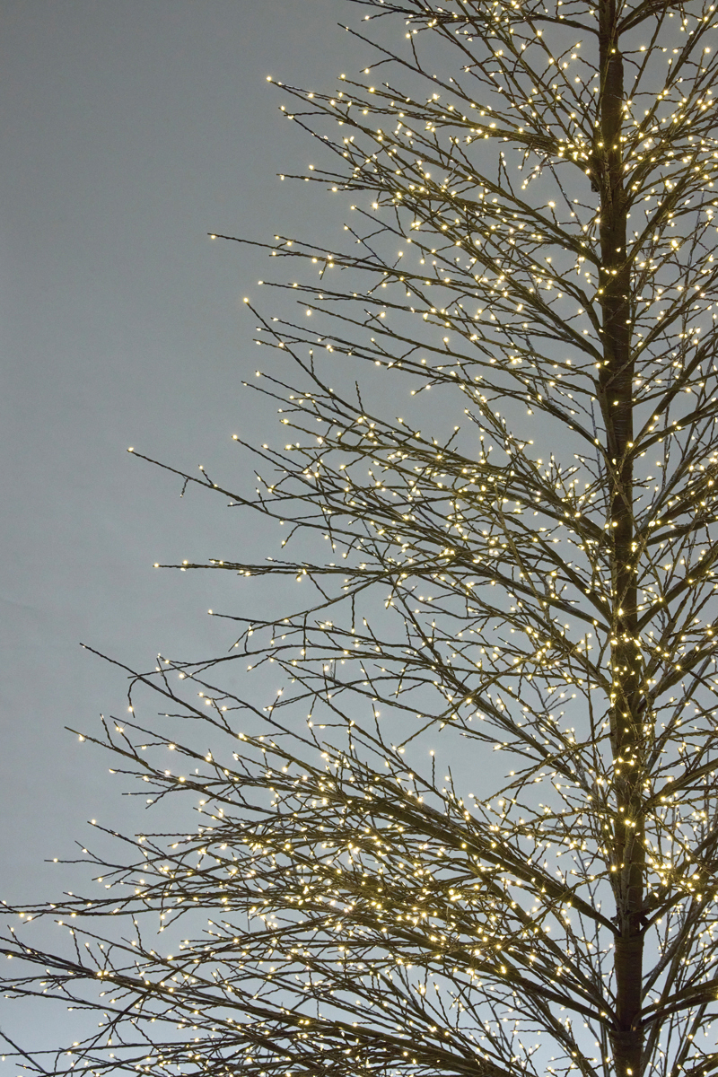 300 CM LED BLACK SPARKLE TREE