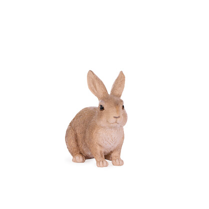 CROUCHING COTTON TAIL BUNNY