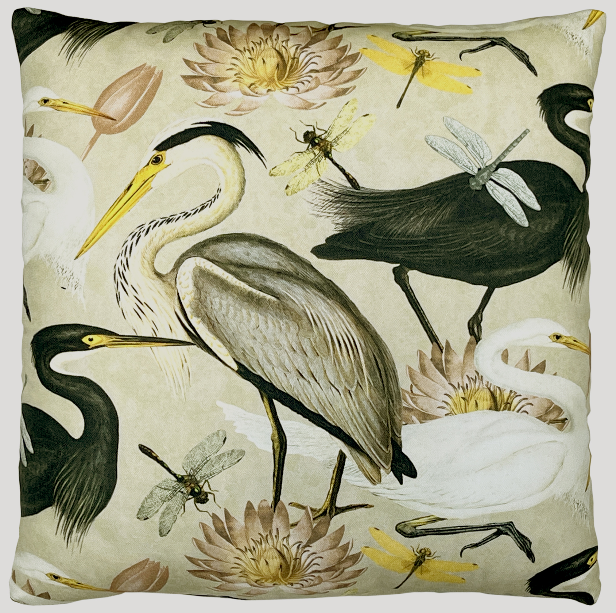 Herons - square