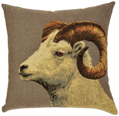 Argali Sheep: White Argali Ram
