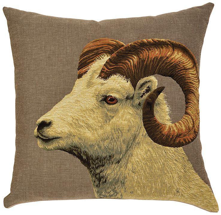Argali Sheep: White Argali Ram