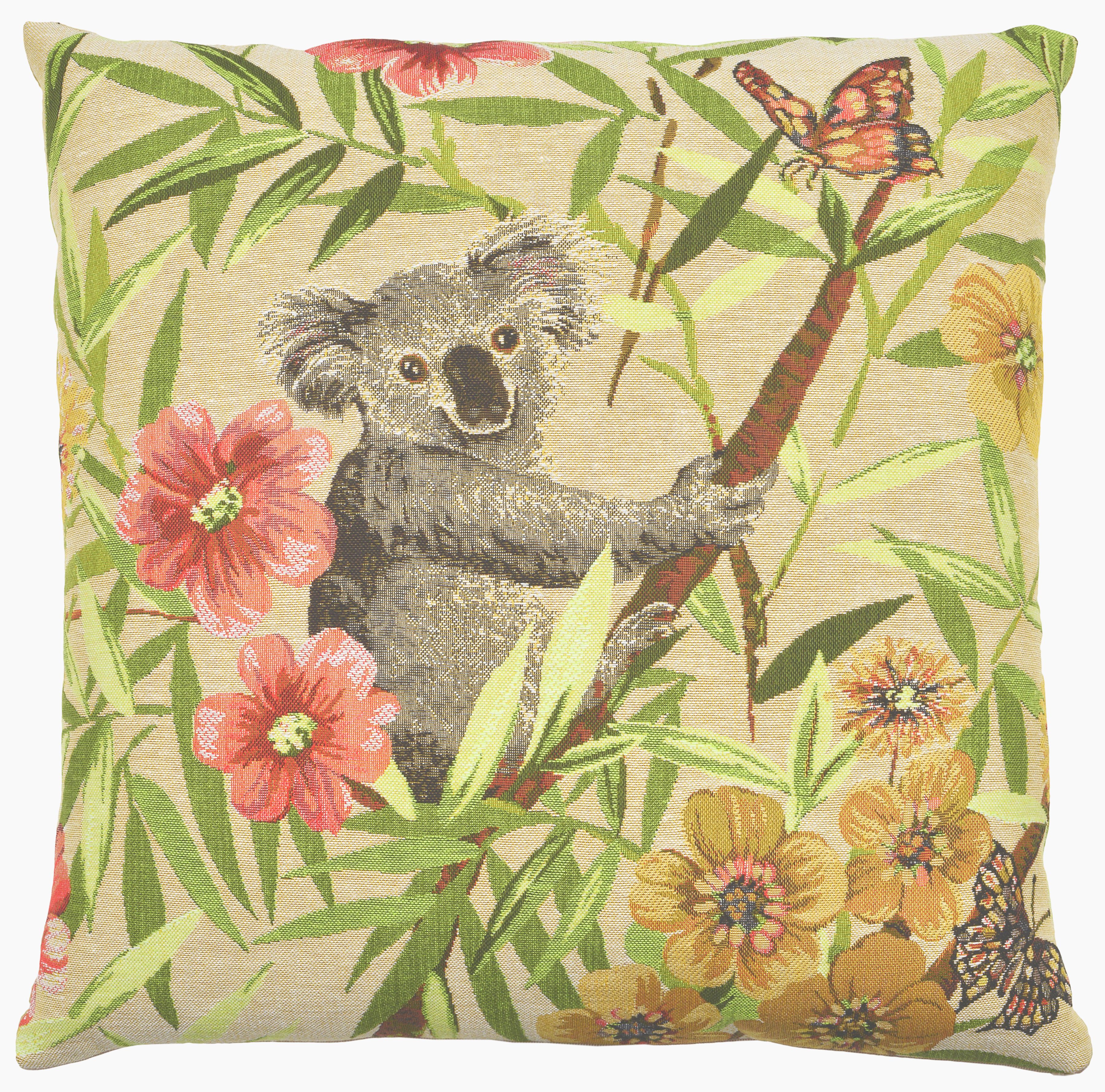 Koala: right