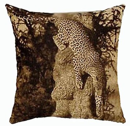 African Warriors: Leopard in Tree